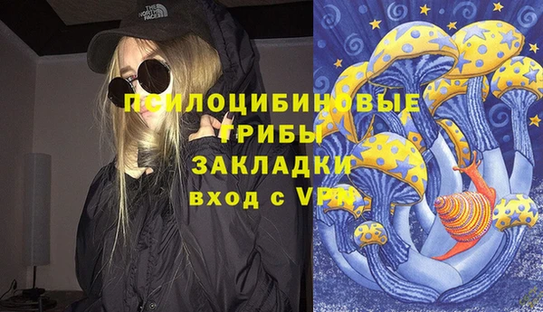 шишки Нефтегорск