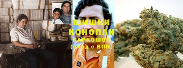 гидра Нефтекумск
