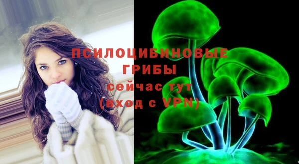 шишки Нефтегорск