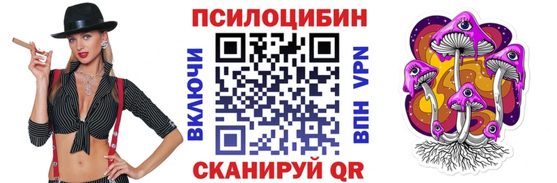 купить закладку Мензелинск Псилоцибиновые грибы мухоморы